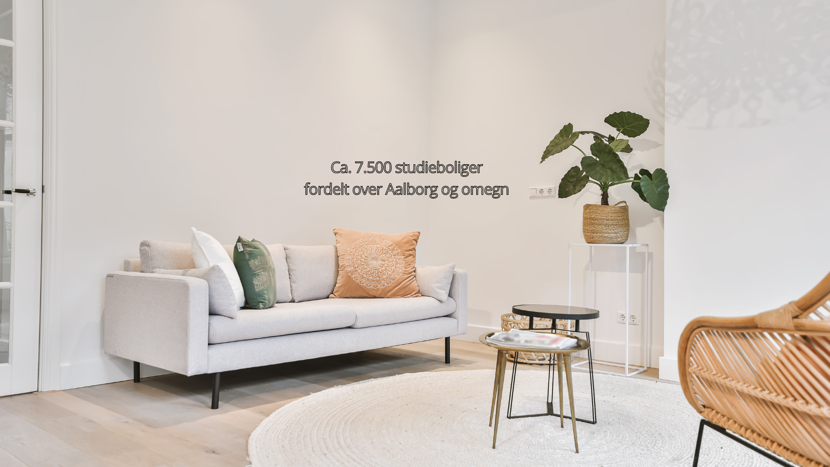 Coverbillede DK 14 02 24