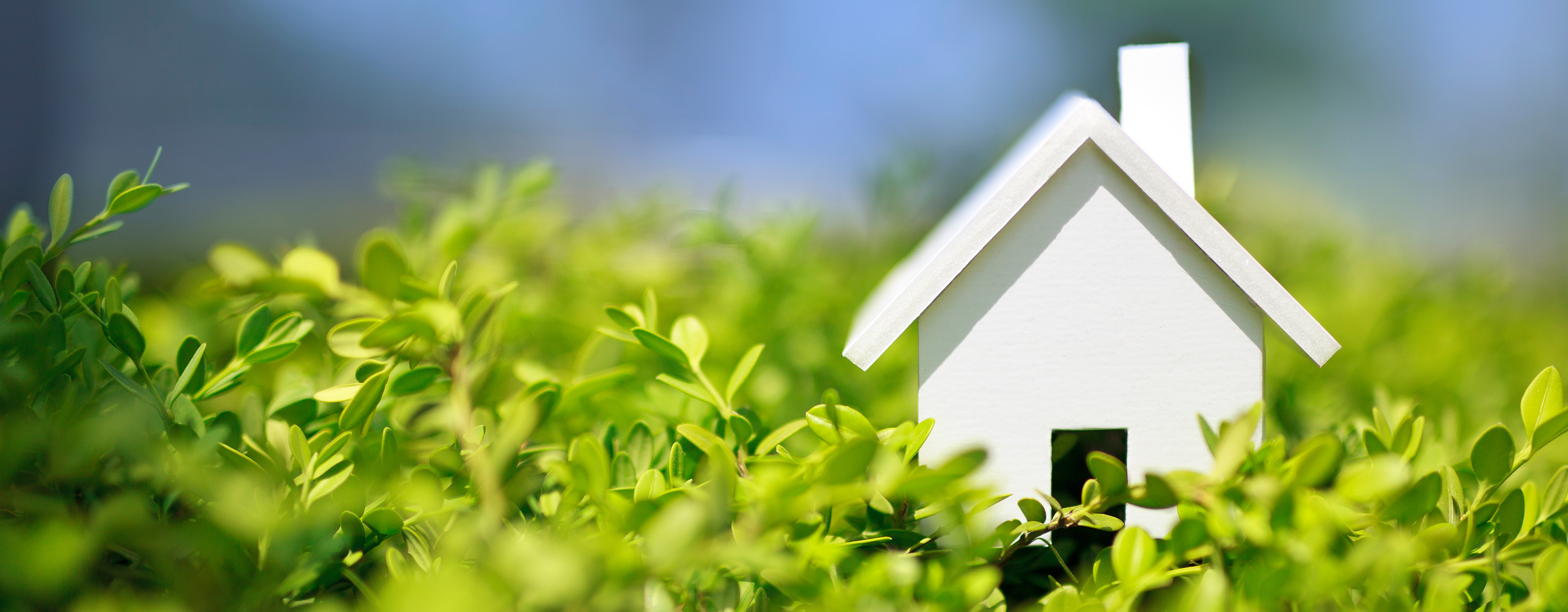 FORSIDEBILLEDE ANSØGER